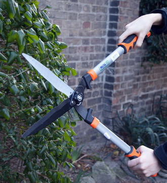 Szabi fagyalt nyír kép